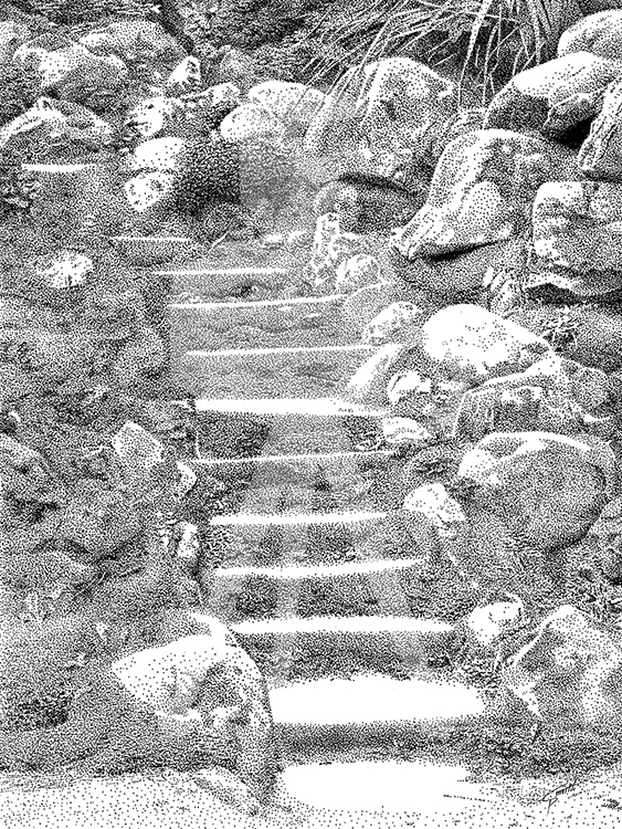 Powerscourt Garden Stairs