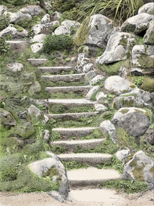 Powerscourt Stairs - Color