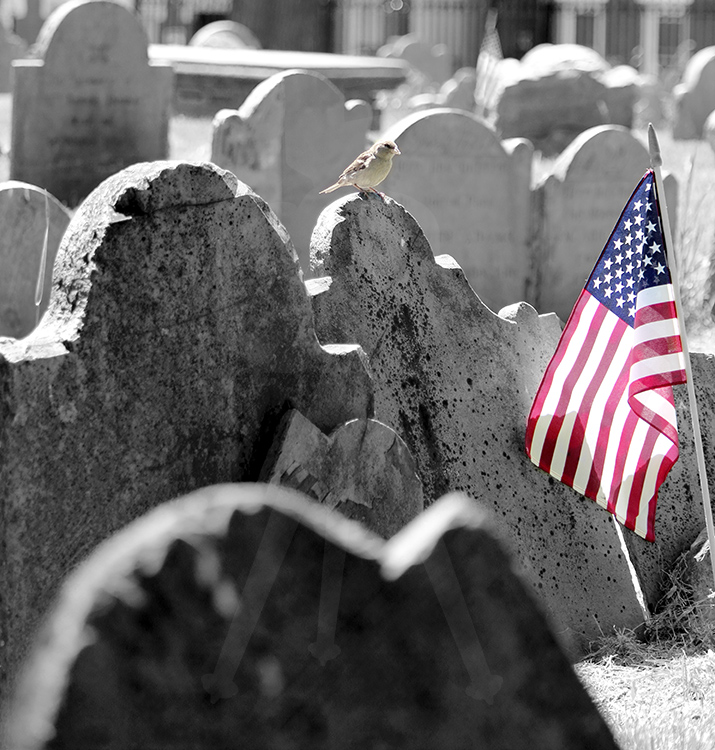 Boston Cemetery - Flag