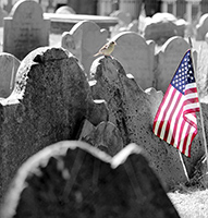 Boston Cemetery - Flag