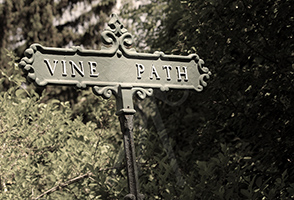 Salem - Vine Path Marker