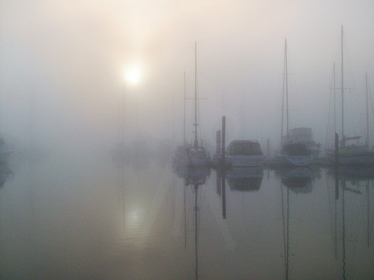 Foggy Morning Marina